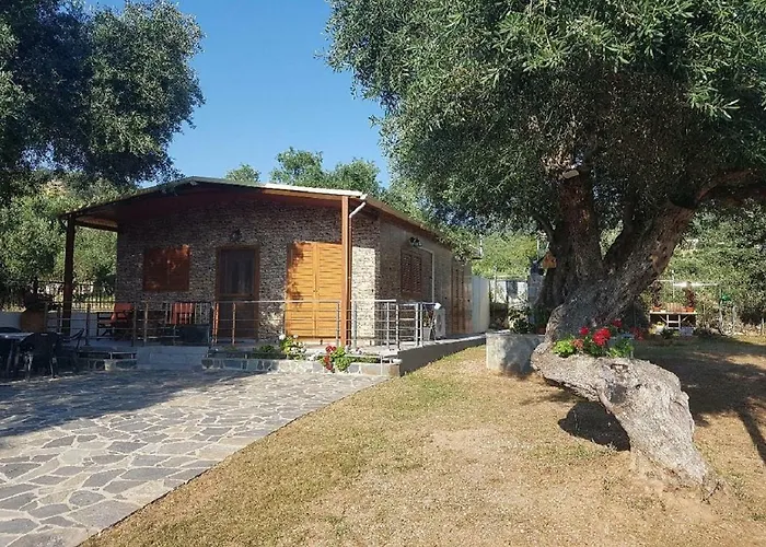 Studio Foris