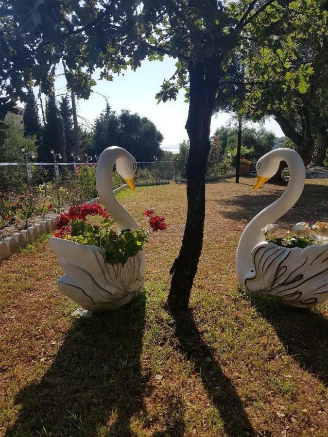 Foris * Sivota (Epirus)
